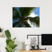 Poster Regard sur le palmier à coco Nature tropicale (Bureau à domicile)