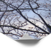 Poster Regard sur les arbres du matin d'hiver (Coin)