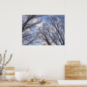 Poster Regard sur les arbres du matin d'hiver (Cuisine)