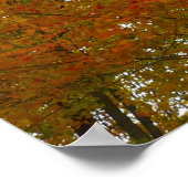 Poster Regard sur les feuilles d'automne I Colorful Fall (Coin)