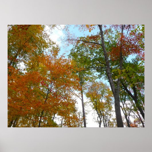 Poster Regard sur les feuilles d'automne I Colorful Fall (Devant)