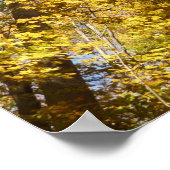 Poster Regard sur les feuilles d'automne III Foliage colo (Coin)