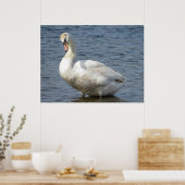 Poster Regardant autour (Cuisine)