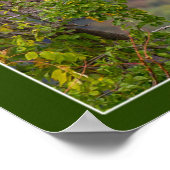 Poster Regardant l'automne (Coin)