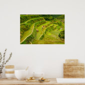Poster Regardant les rizières (Cuisine)