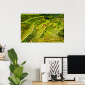 Poster Regardant les rizières (Bureau à domicile)