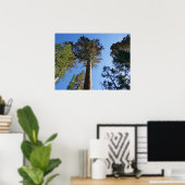 Poster Regardant vers Mariposa Grove (Bureau à domicile)
