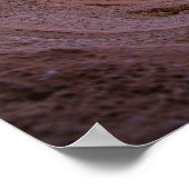 Poster Regarde ! (Coin)