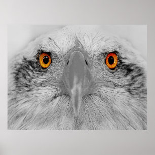 Poster Regarde dans mes yeux