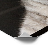 Poster Regarde la Lumière ! (Coin)