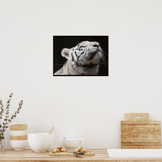 Poster Regarde la Lumière ! (Cuisine)