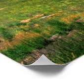 Poster Regarder la distance (Coin)