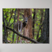 Poster Regarder le passé (Devant)