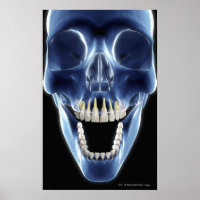 Regarder les dents humaines par rayons X