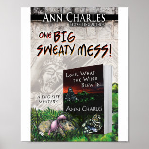 Poster Regardez ce que le vent a fait dans l'affiche d'An