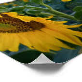 Poster Regardez de plus près (Coin)