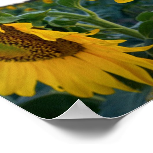 Poster Regardez de plus près (Coin)