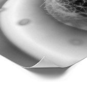 Poster Regardez de près la division cellulaire (Coin)