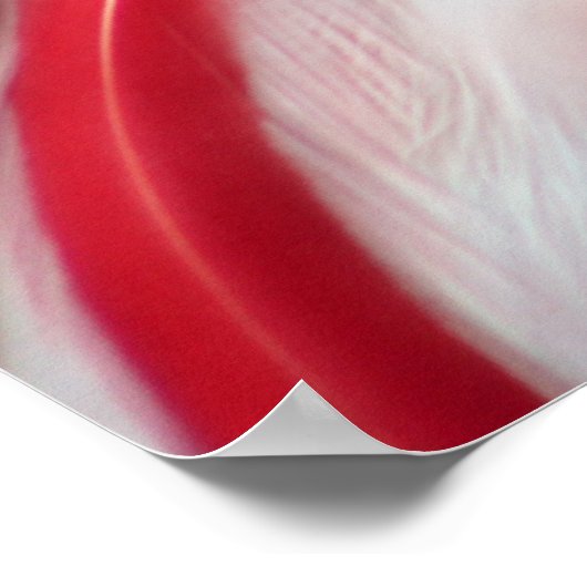 Poster Regardez un Boo, S Cyr (Coin)