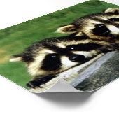 Poster regardez-vous (Coin)