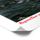 Poster Régate/Boat RACE (Coin)