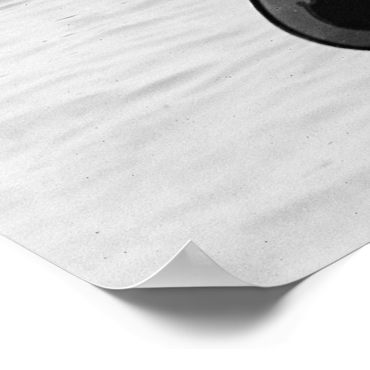 Poster Régate de canoë : 1924 (Coin)