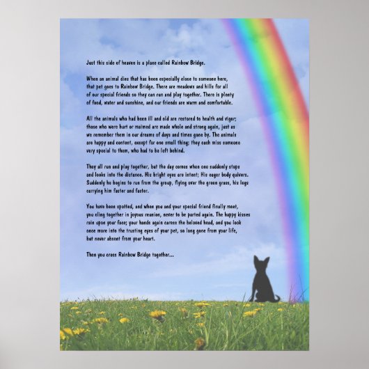 Poster Regenboogbrug (Voorkant)