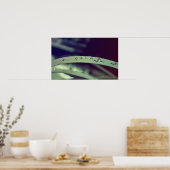 Poster regenboogdruppels / omhuld afdrukken (Keuken)