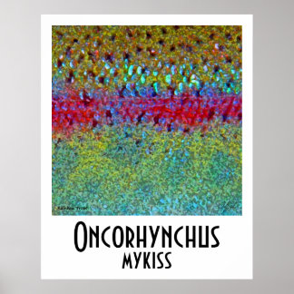 Poster regenboogforel