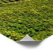 Poster Région du Lavaux, Vaud, Suisse (Coin)