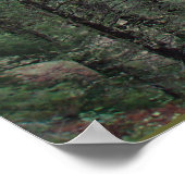 Poster Région récréative nationale de Rattlesnake (Coin)