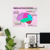 Poster Régions et parties du cerveau (Bureau à domicile)