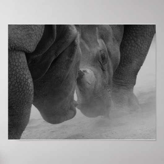 Poster Réglage des rhinocéros (Devant)