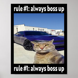 Poster Règle # 1 Toujours Boss Up Funny Cat Meme