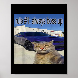Poster Règle 1 Toujours Bosser Drôle Chat Drôle Étrangeme