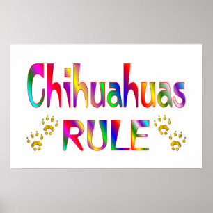 Poster Règle de chiwawas