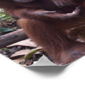 Poster Règle de classe mignonne avec l'aimable autorisati (Coin)