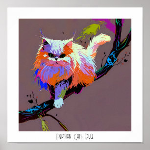 Poster Règle des chats perses