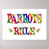 POSTER RÈGLE DES PARROTS (Devant)