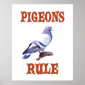 Poster Règle des pigeons (Devant)