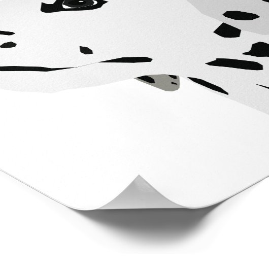 Poster Règle des points dalmatiens (Coin)