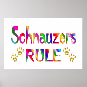 Poster Règle Schnauzers