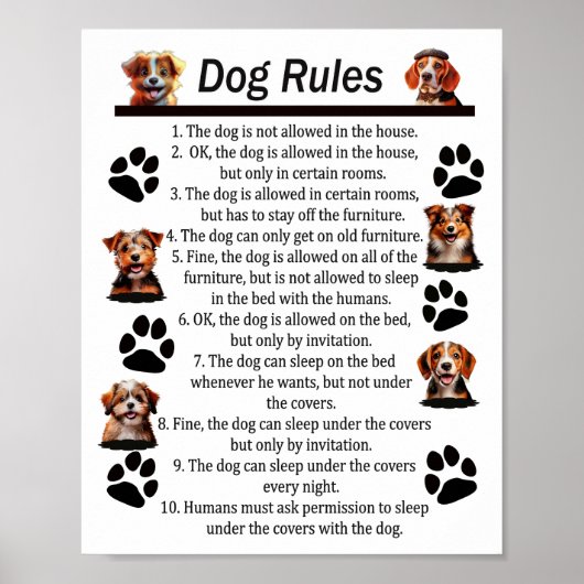 Poster Règles de chien - Pour un CHIEN HEUREUX ACCUEIL (Devant)