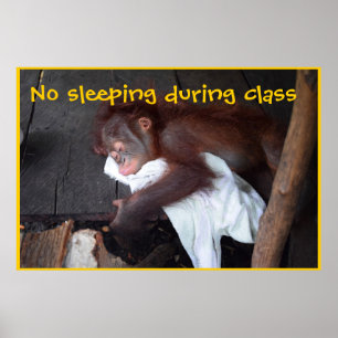 Poster Règles de la classe de l'enseignant
