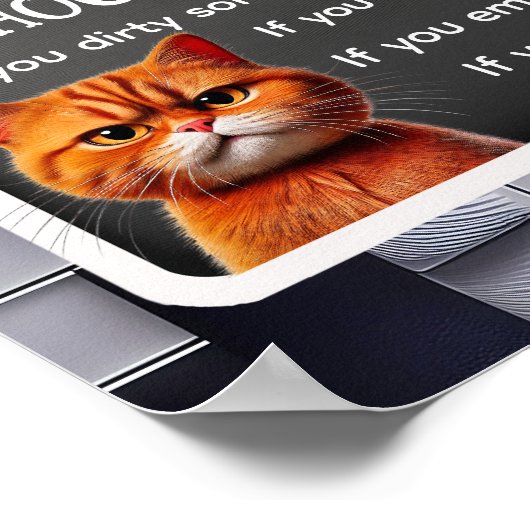 Poster RÈGLES DE LA MAISON, par l'influenceur du chat (Coin)