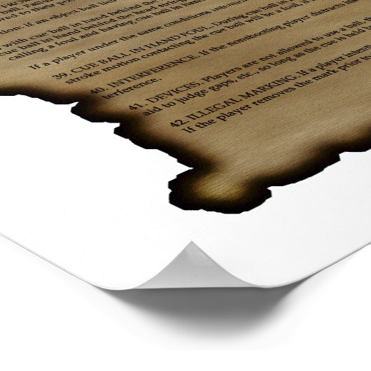 Poster Règles de pool (Coin)