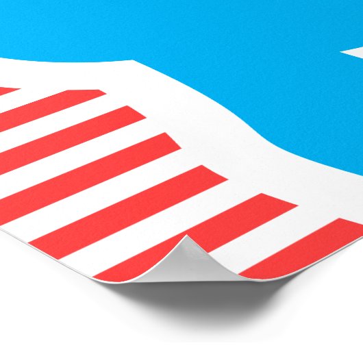 Poster Règles pour les chats ! (Coin)