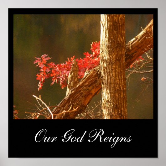 Poster Règnes (Devant)