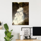 Poster Reichenbach tombe Suisse (Bureau à domicile)