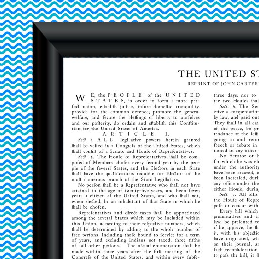 Poster Réimpression de John Carter, Constitution américai